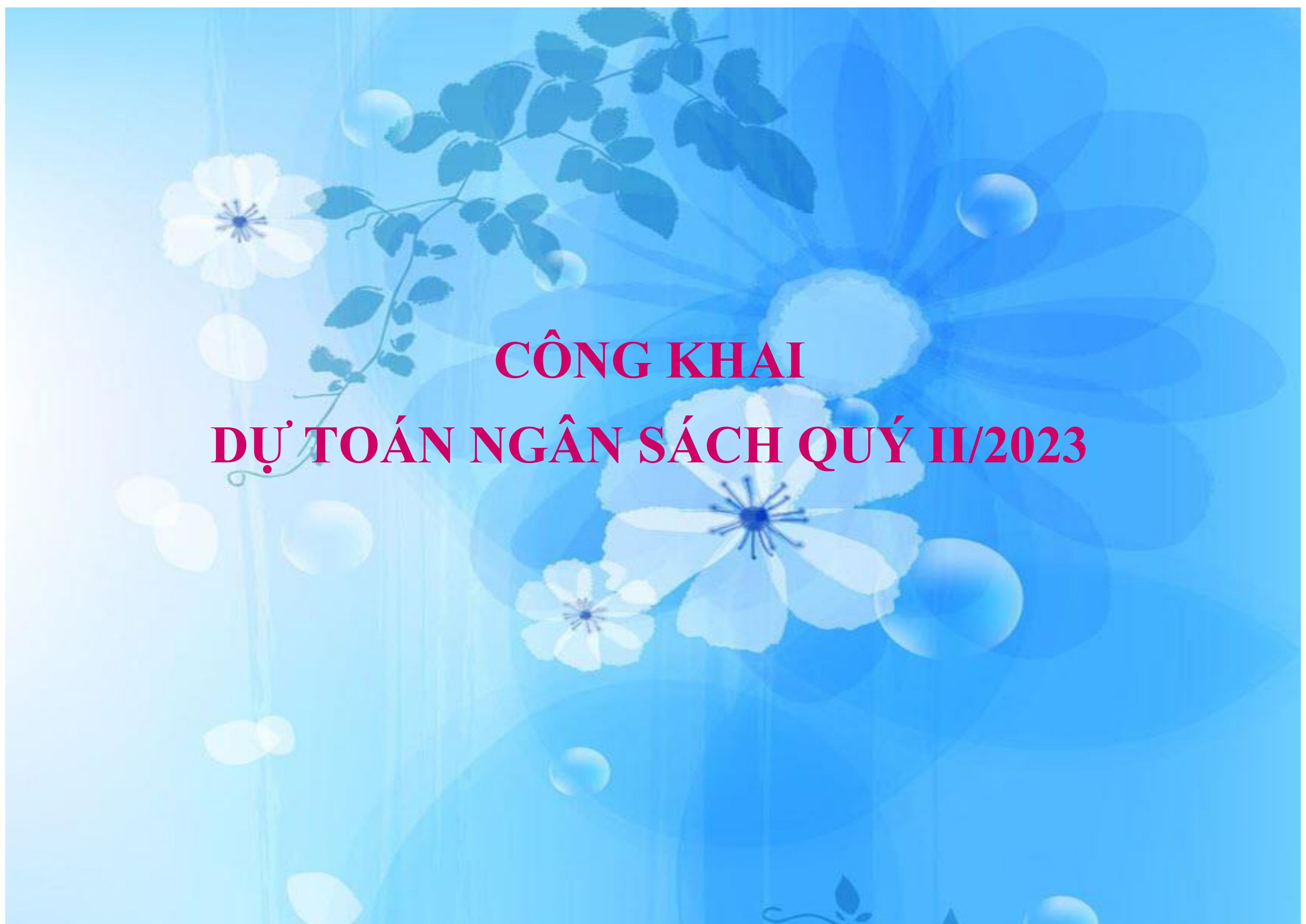 CÔNG KHAI DỰ TOÁN NGÂN SÁCH QUÝ II/2023