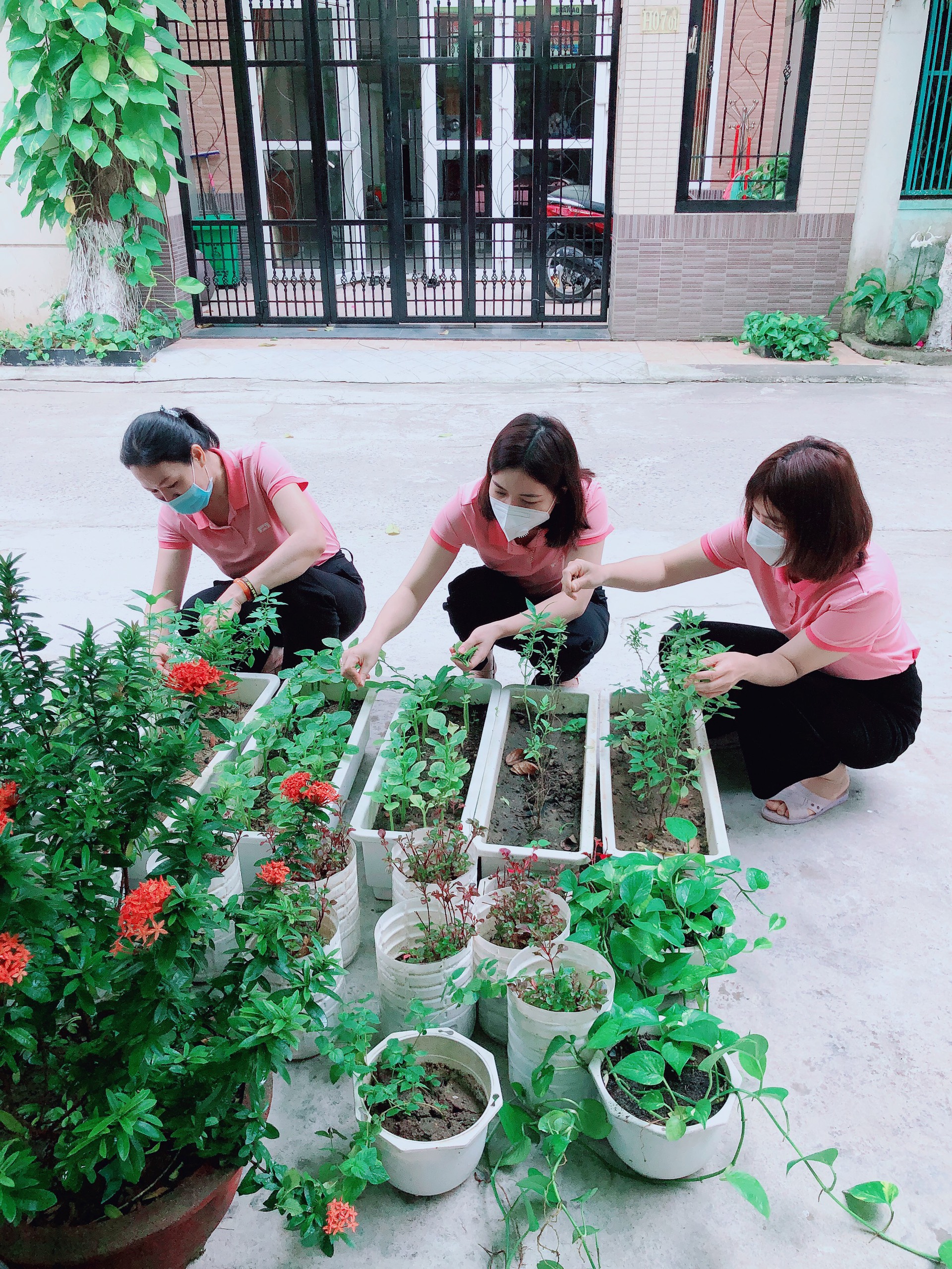 HƯỞNG ỨNG TẾT TRỒNG CÂY XUÂN NHÂM DẦN 2022